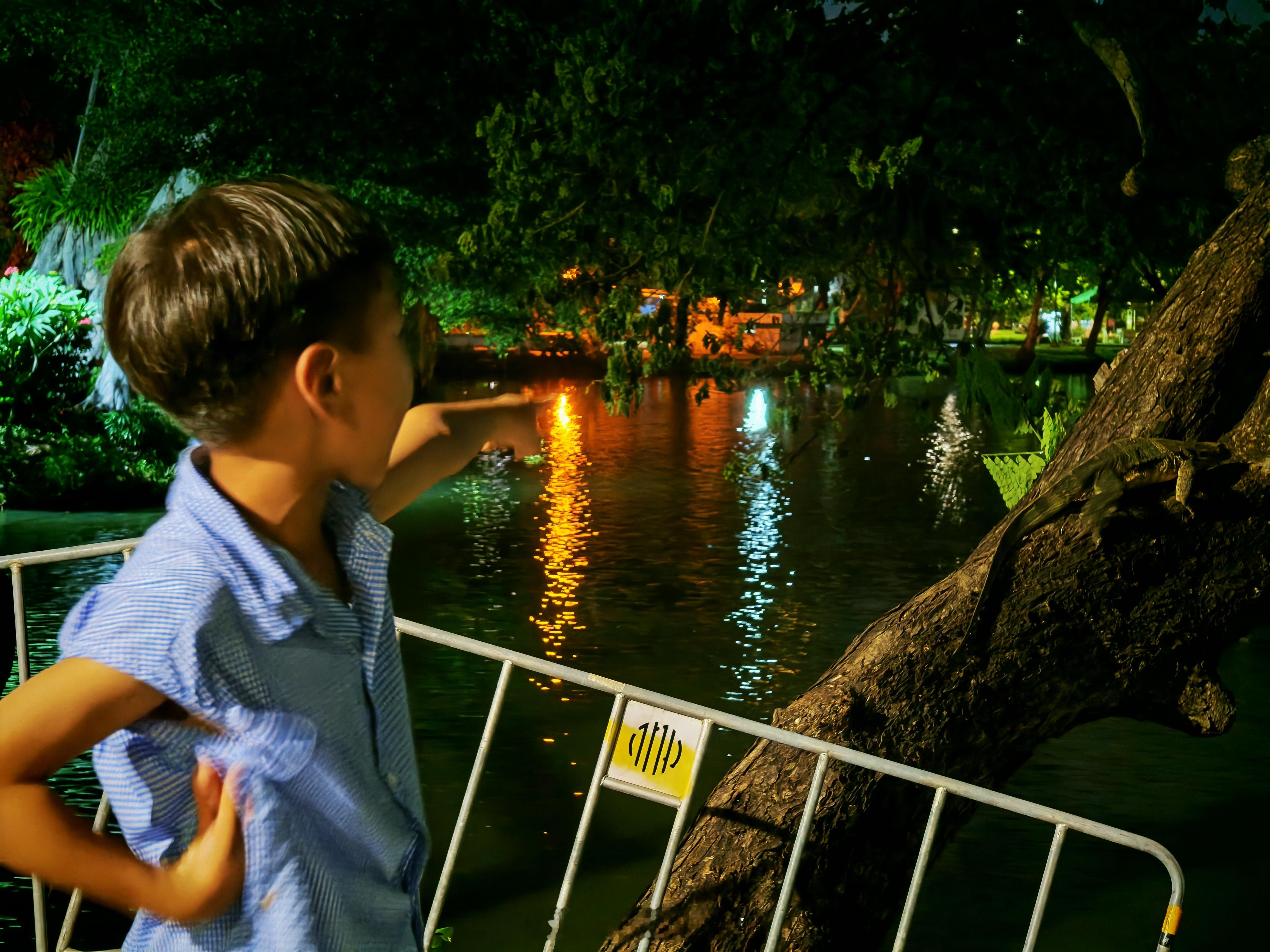 晚上陪娃去LumphiniPark看了蜥蜴🦎岸边、树上看到了好几条顺便正好满
