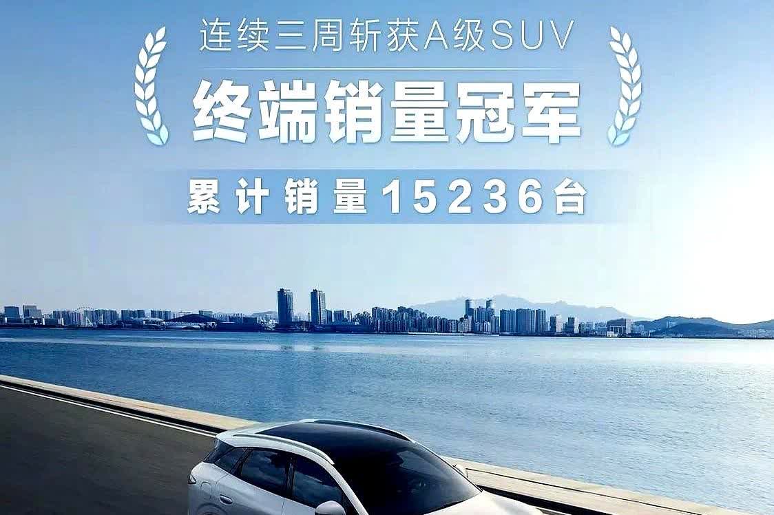 海狮06EV四驱版国内17万封顶，比亚迪把“出口价”当遮羞布？国内四驱版