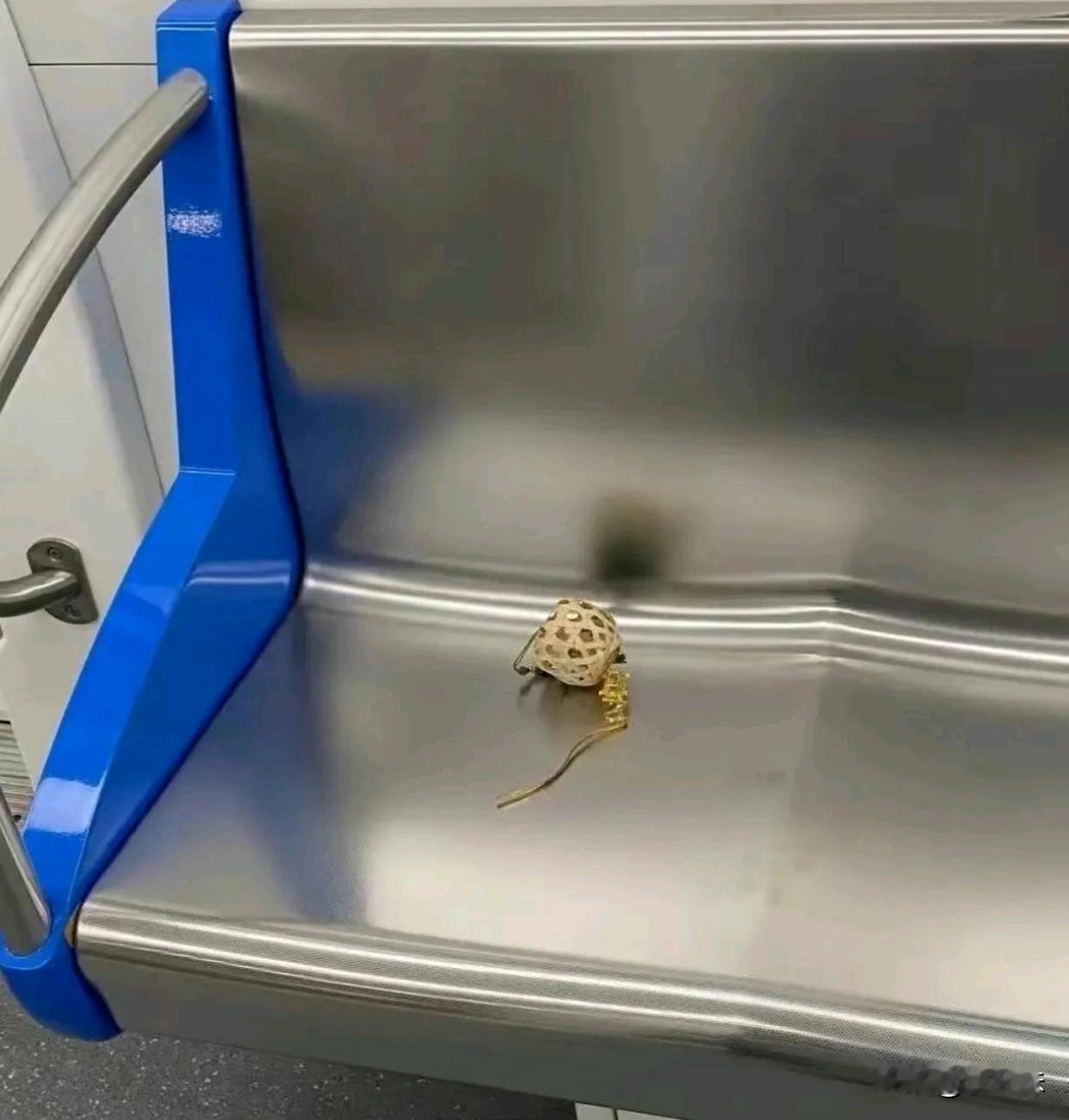 这座城市多了个伤心的人