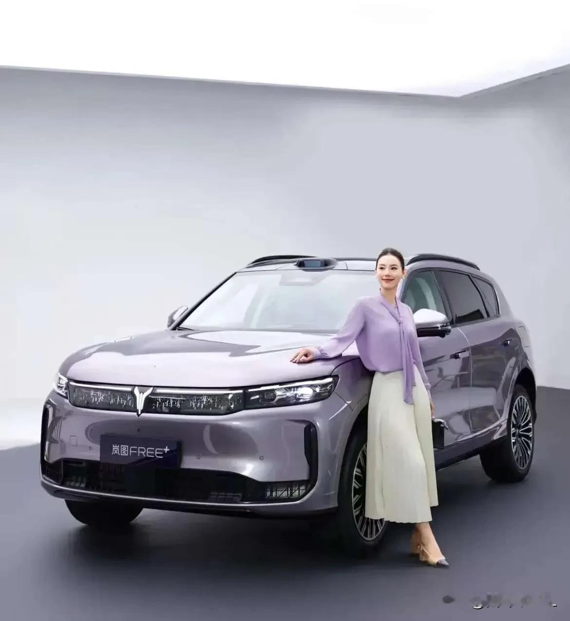 2025年7月12日，岚图FREE+正式上市，推出三款车型。其中，后驱乾崑版21