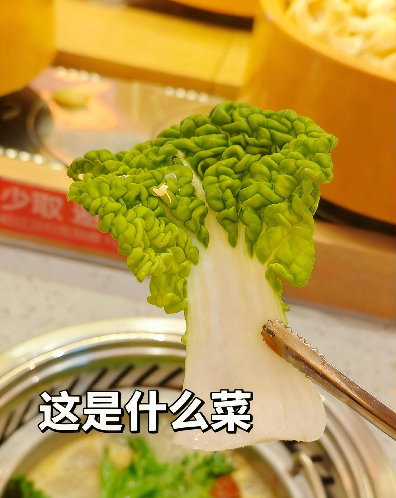 一片长得像童话故事里的菜叶子。朋友们，这个点该吃夜宵了，没吃过这个菜叶子的我建议