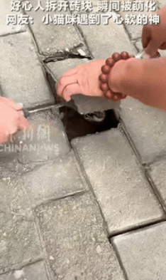 “解释不清了！”内蒙古，一男子在路上正常行走时，突然听到有猫声传来，她顺着叫声寻