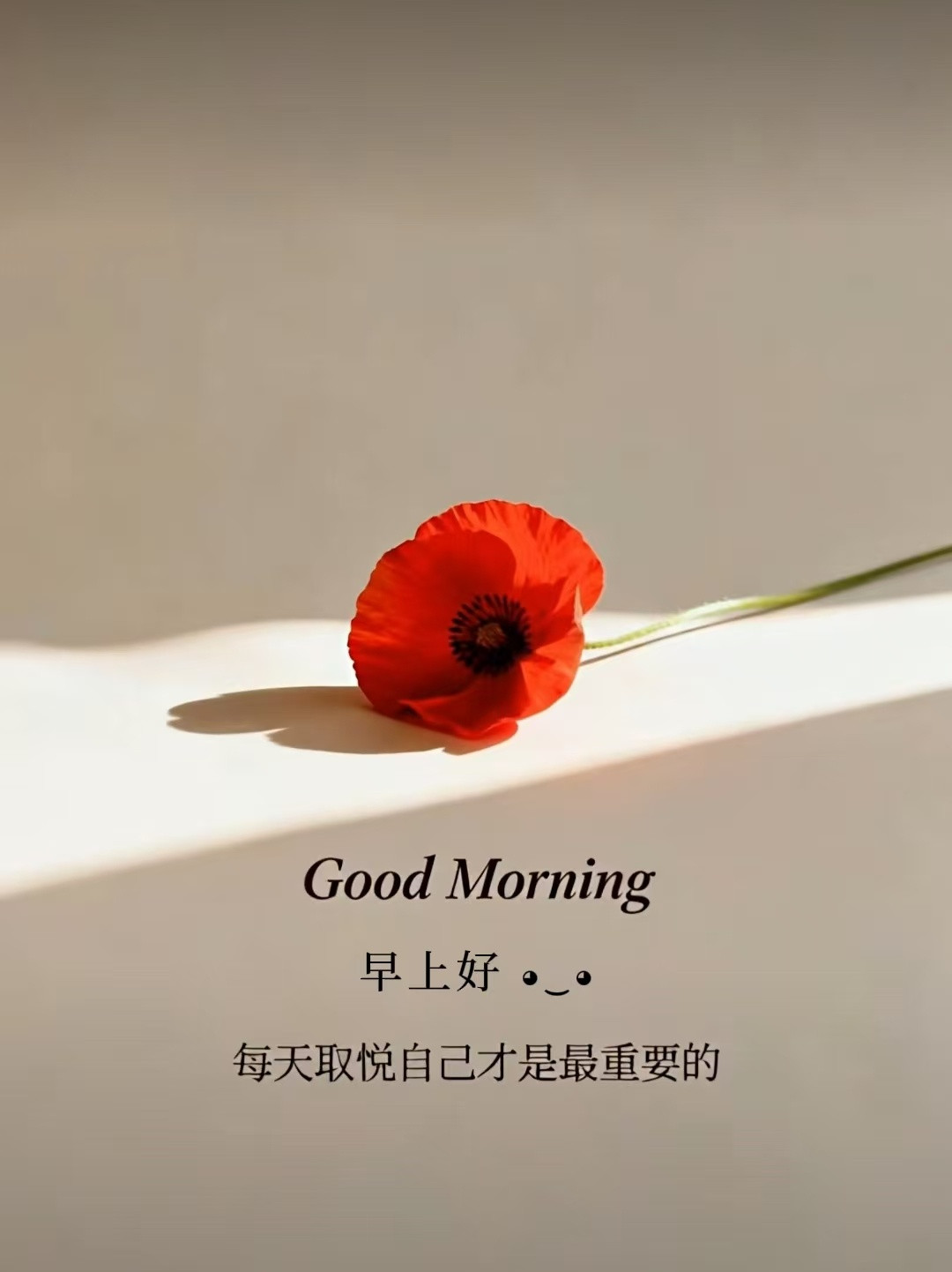 周六，早上好保持好心态，每一天都值得被热爱！生活没有标准答案，每个人都有自己的节