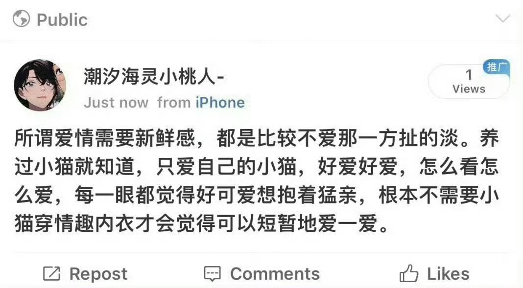 养过小猫就知道爱不需要新鲜感​​​