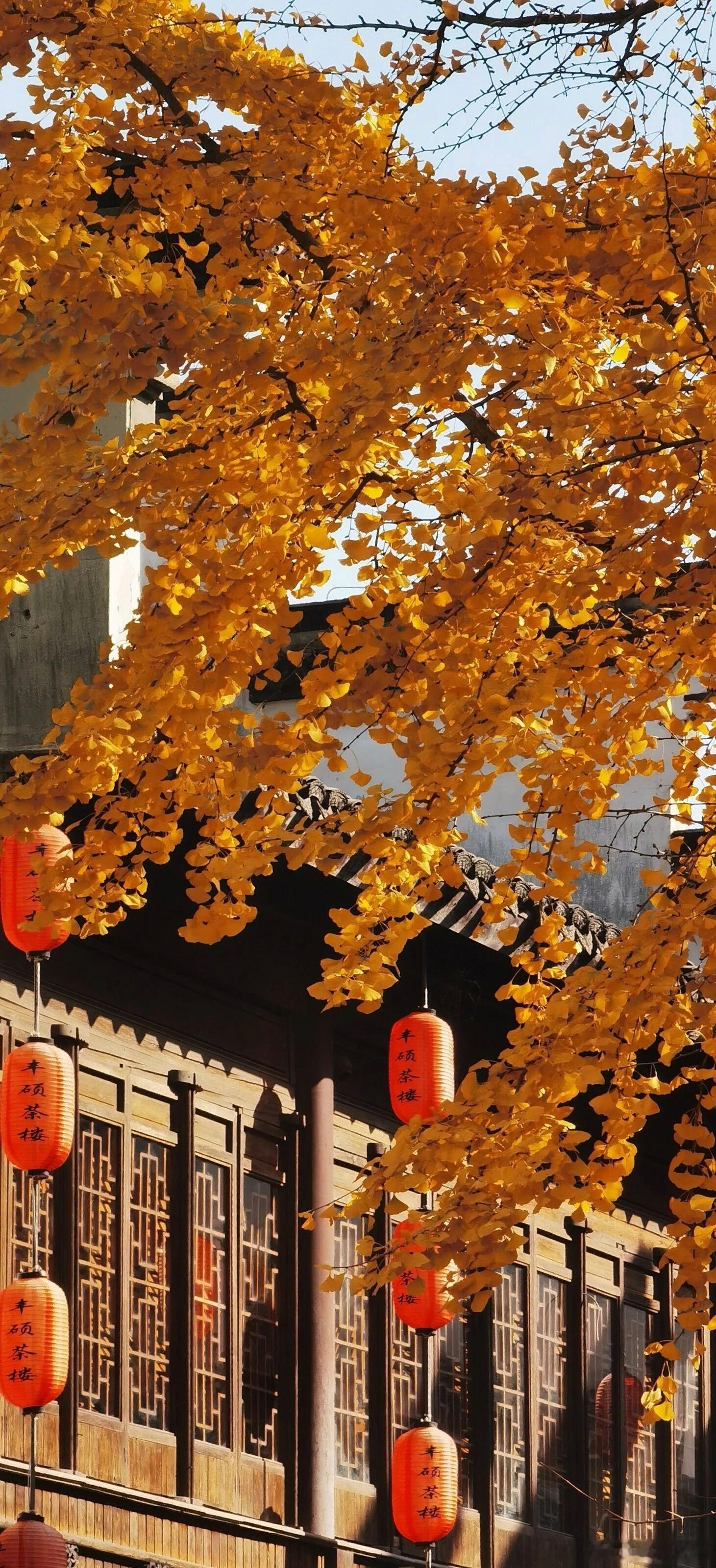 曹魏正始年间，曹爽专权，架空司马懿。司马懿索性称病不出，装得奄奄一息。李胜来探病