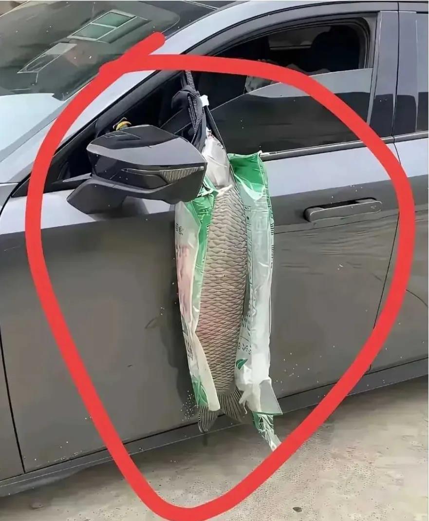 这个老板是在炫耀吗