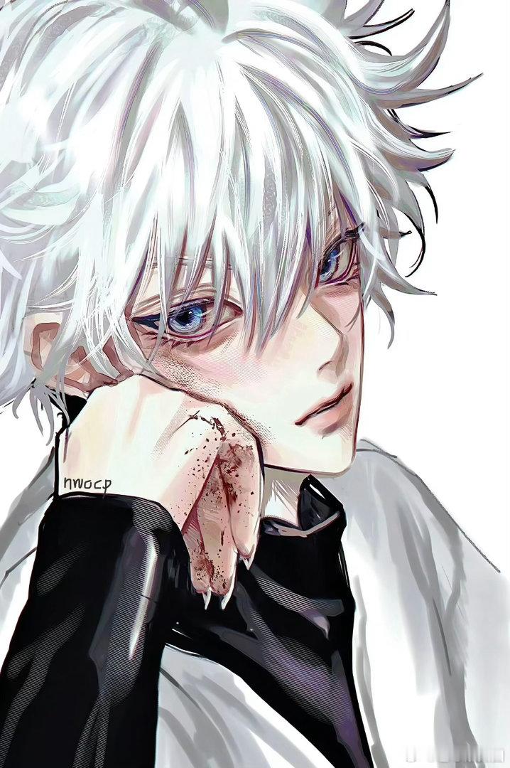 伟大无需多言！画师大大：nwocp全职猎人