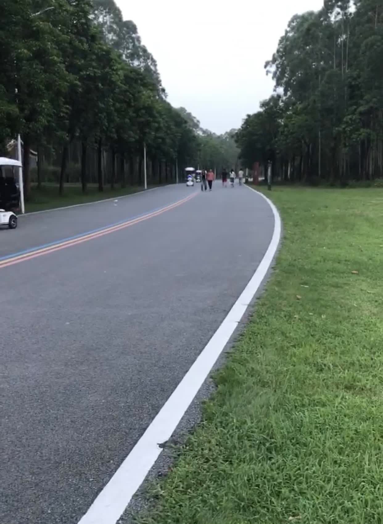 我终于明白什么是没苦硬吃，就像考驾照那样，明明自动手筒单易学，容易考