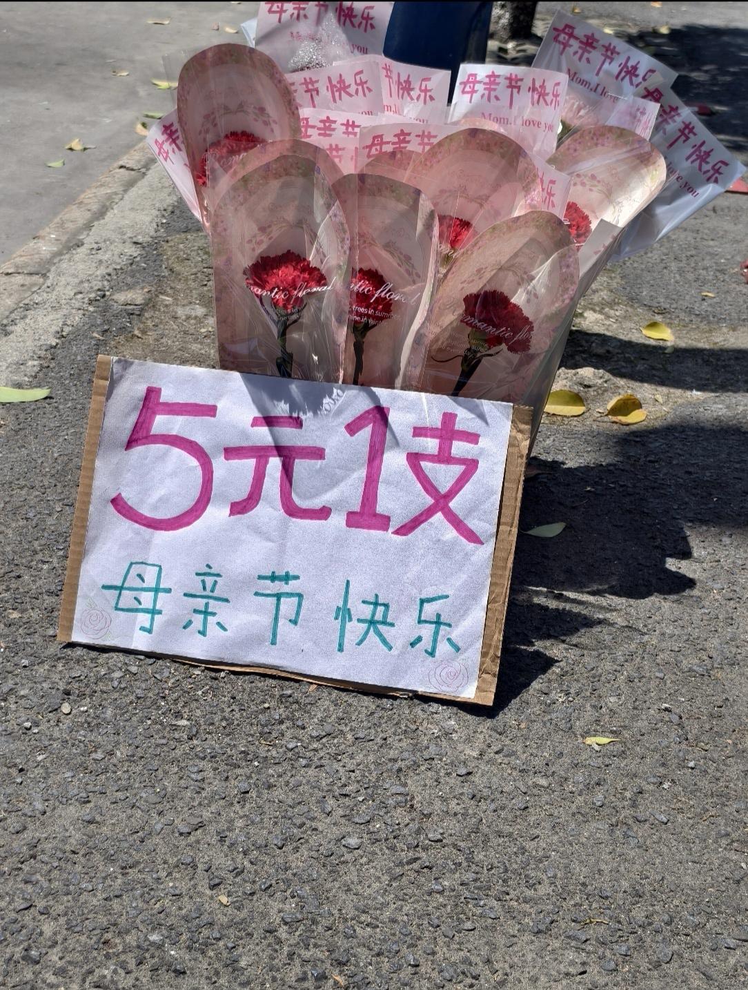 为什么一只都没有人买？