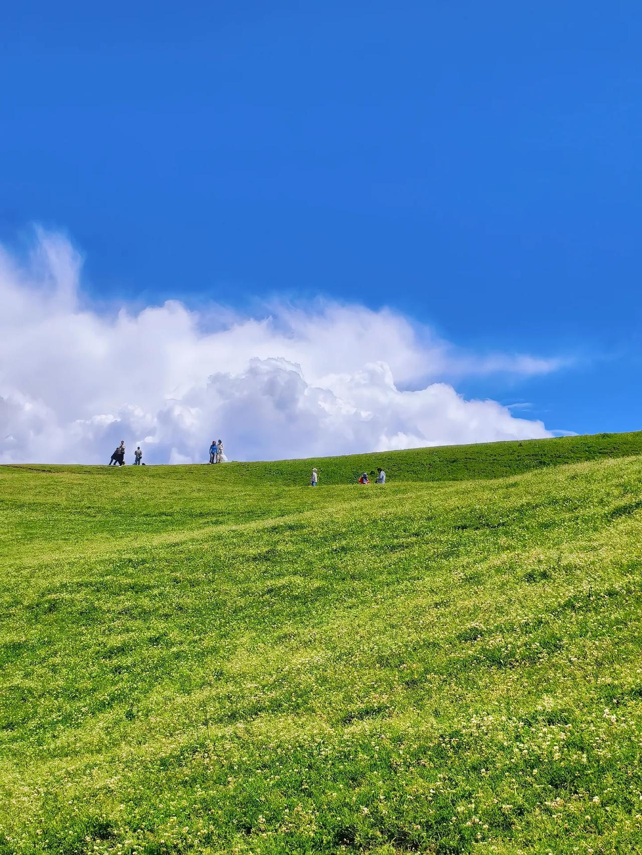 玄外的一个学生家长，孩子初二的时候找到了我，其实也没聊几句，然后就给孩子报了语文