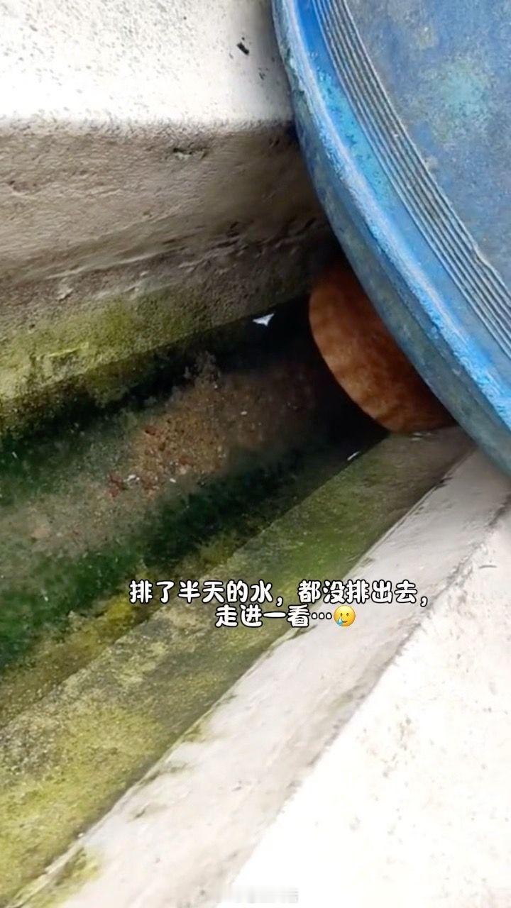 这么防水的嘛？