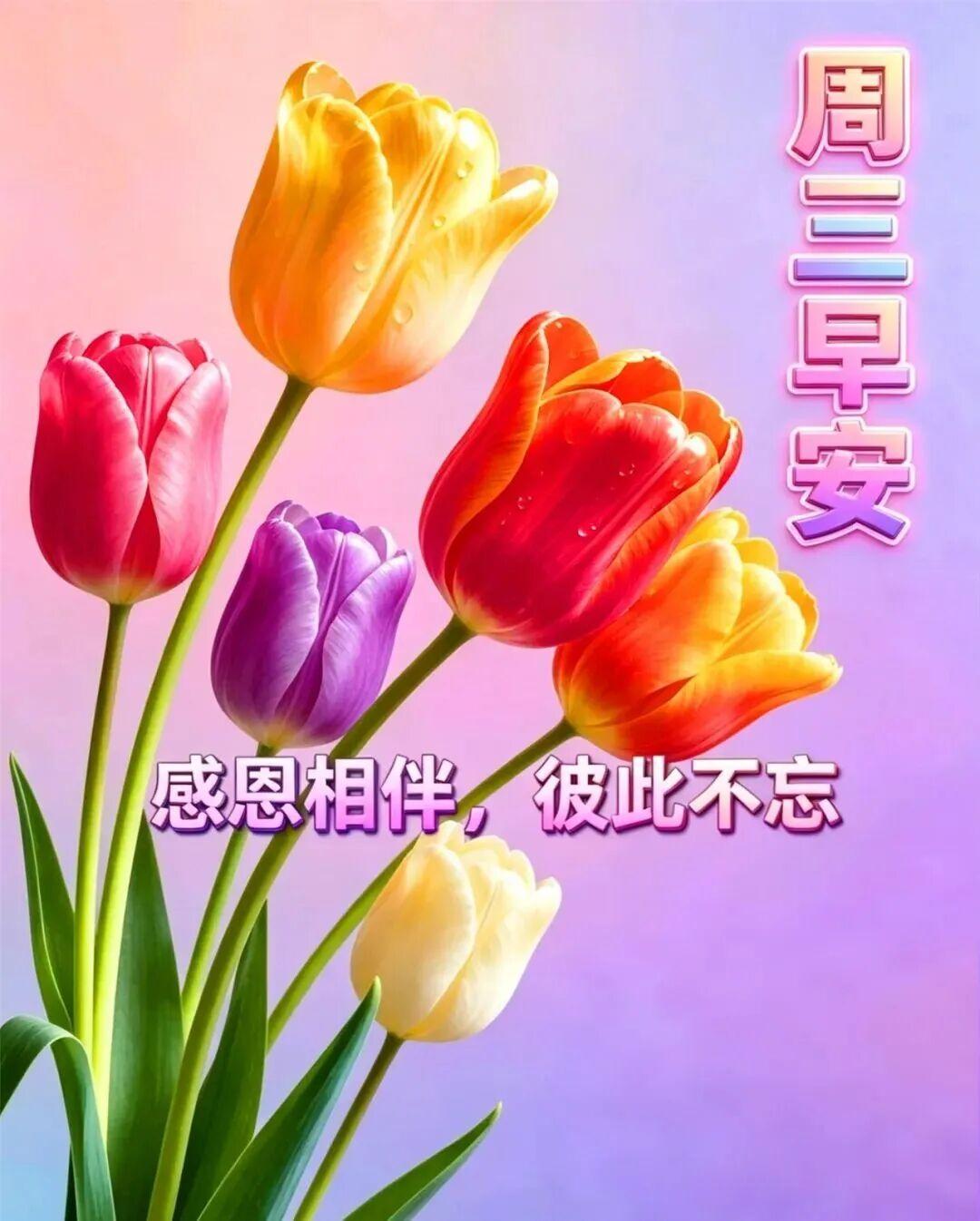 愿昨日的微笑，续写今日的快乐；以当下的欢愉，链接一生的健康。愿有缘的我们，日日潇