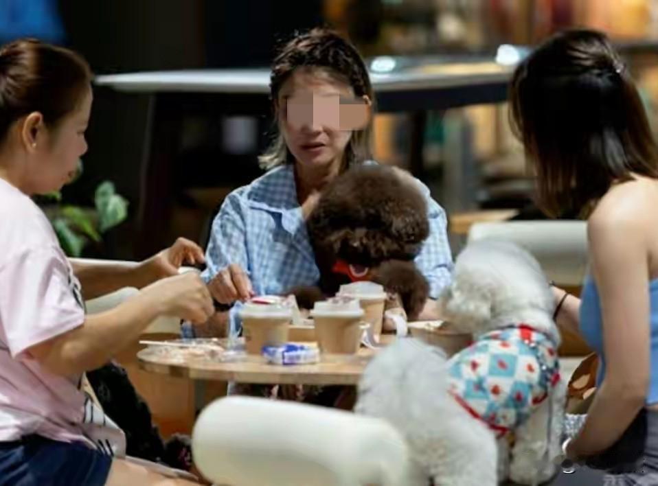 澳门媒体报道，香港宠物餐厅的新政被不守规矩的人搞砸了！7月香港推出宠物友好新政