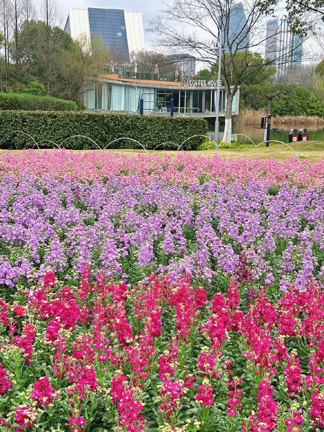 宁波市政万一有人想在公园结婚呢宁波市政：万一有人想在公园里结婚呢这几天宁波的“
