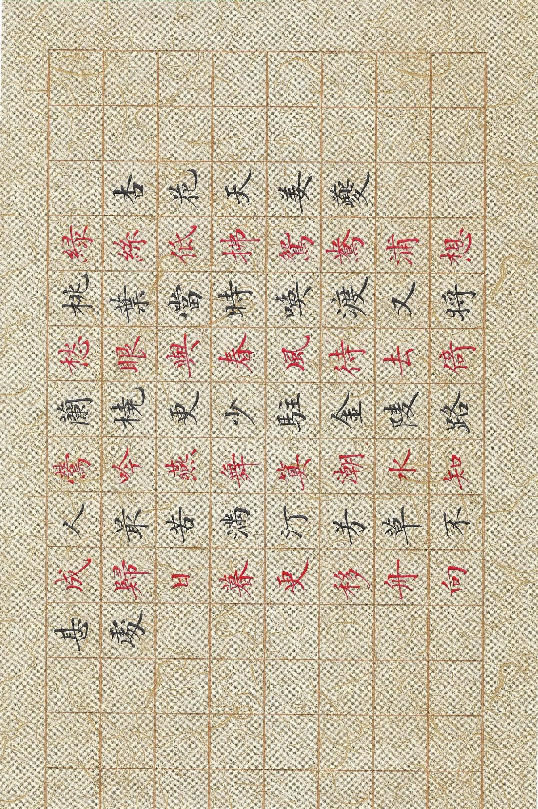 每天都有认真的练习，扫描件分享给大家。卢中南小楷秀丽笔书写