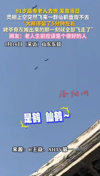 “解释不清了！”山东东营，一91岁老人去世，可就在葬礼进行途中，天空忽然飞来一群