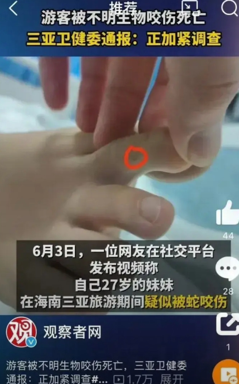 专业医生推断：三亚女游客致死原因是I型超敏反应——500万粉丝大V医生白衣山猫，