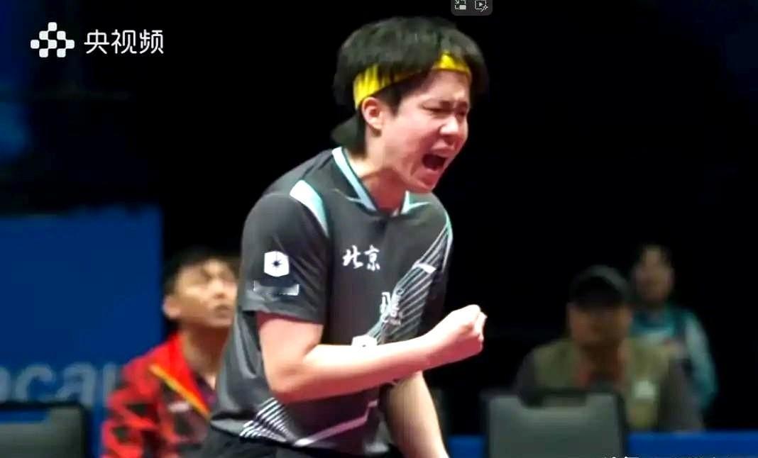 王楚钦和樊振东已经是两种训练体系。樊振东在德国，资源并不好，他甚至找王志陪练，