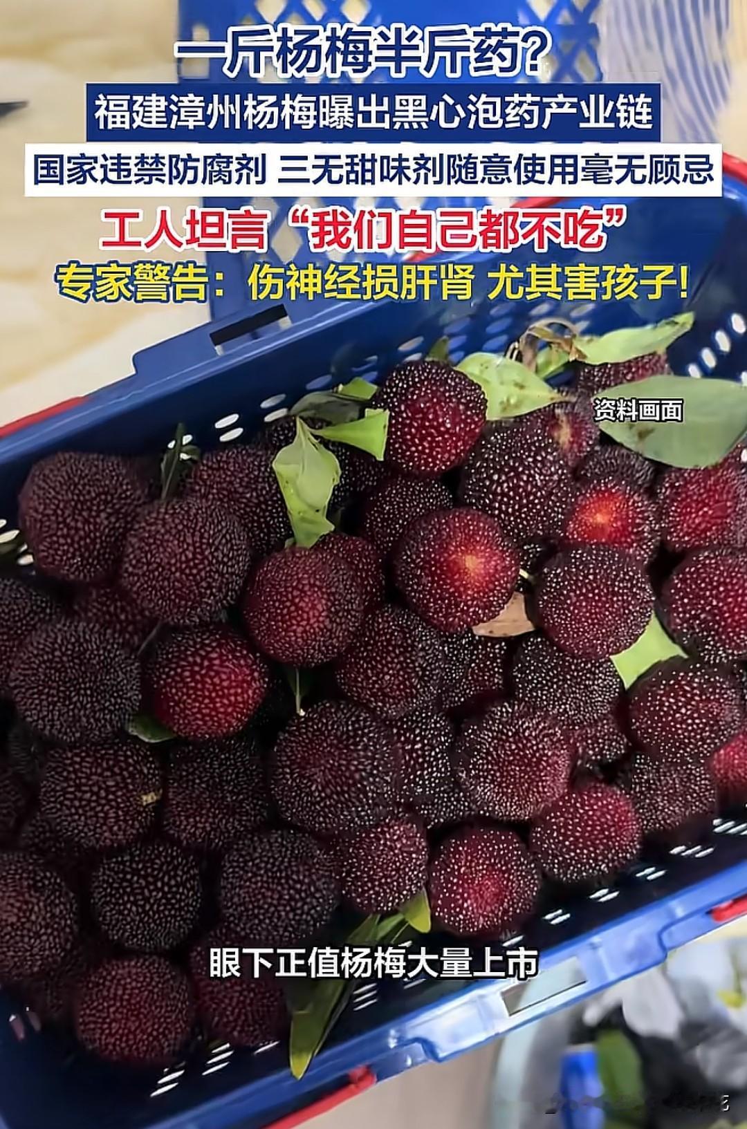 自家杨梅半天就招酸蝇，水果店的却光鲜如初，福建漳州曝光的“药水杨梅”产业链，让这