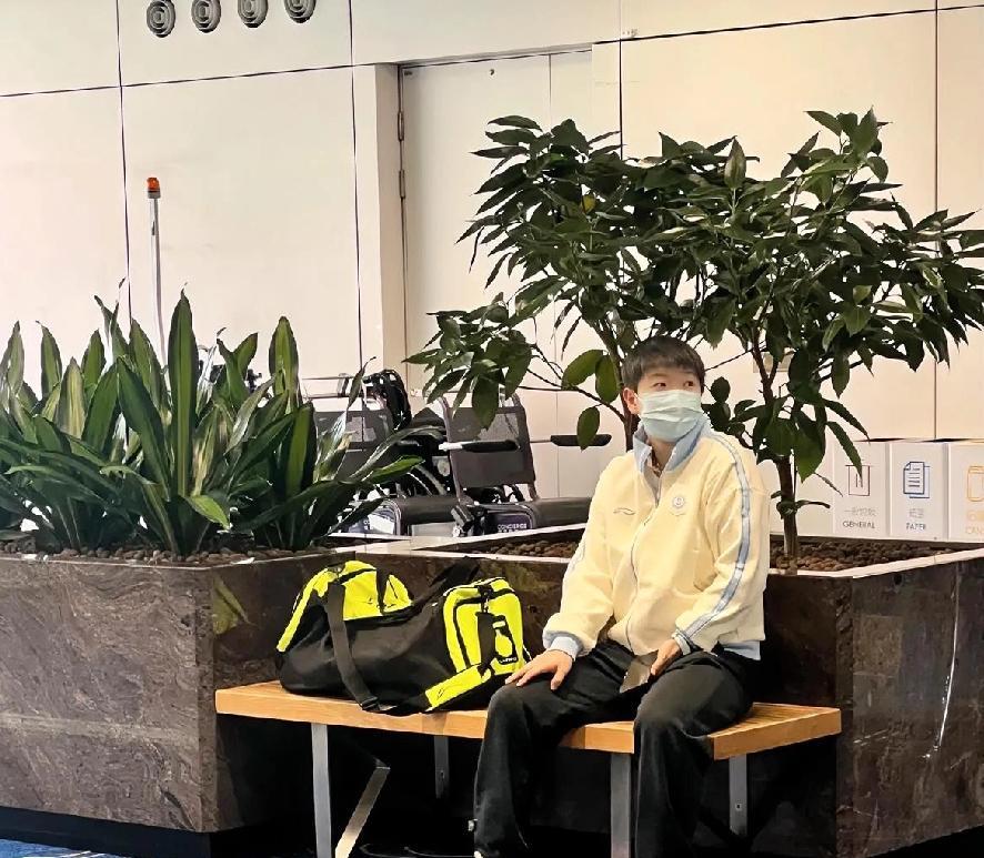 香港机场被安排看包的莎莎，乖乖地坐在那里东张西望，好像在说：“怎么还没人来接