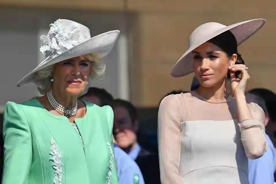 梅根离开后，最大的获益者并非卡米拉，而是凯特？为何？梅根留在王室不会消停，反