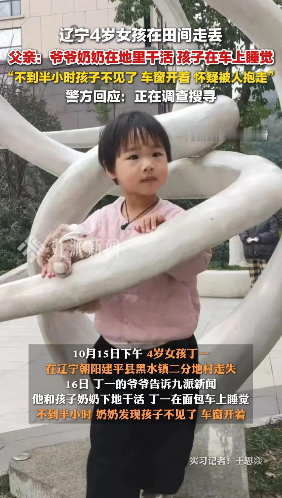 辽宁4岁女孩在田间丢失。父亲：爷爷奶奶在地里干活孩子在车上睡觉。10月15