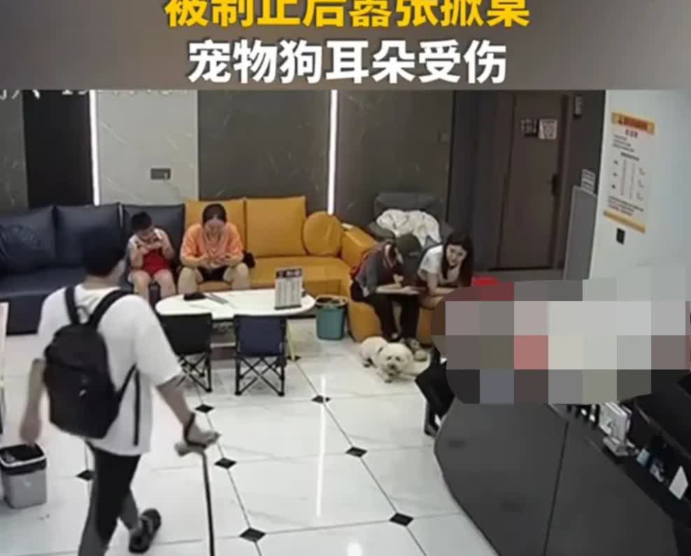近日，一段发生在湖南郴州的监控视频在网络上引发热议。视频中，一名陌生男子牵着柯基