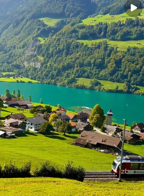 高考200多分就该被看不起？现实狠狠打了“唯学历论”的脸！亲戚家儿子当年考