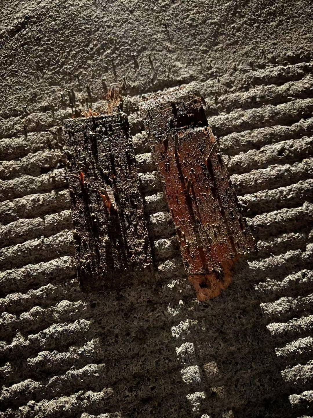 重庆，老人去世，家人准备将遗体安葬在自家地里，谁料，安葬必经路上，被人放了100
