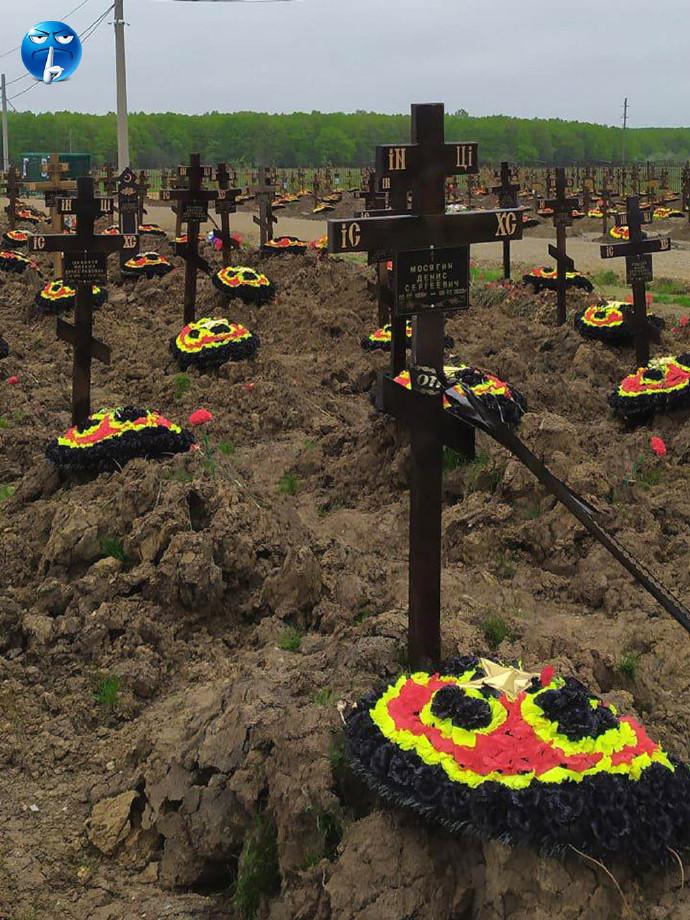 这偌大的一片墓地也太简陋了吧！目之所及无比萧条，无比凄凉刨个坑，几铲