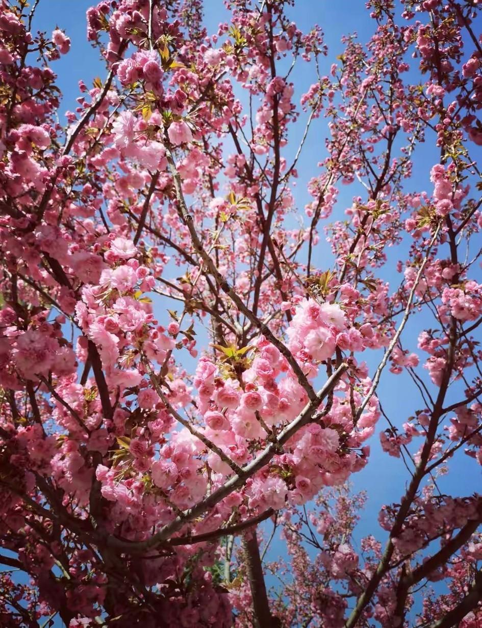 有个嫂子，两个孩子，一个男孩，一个女孩，侄子侄女儿。现在都结婚了，儿子花她30多