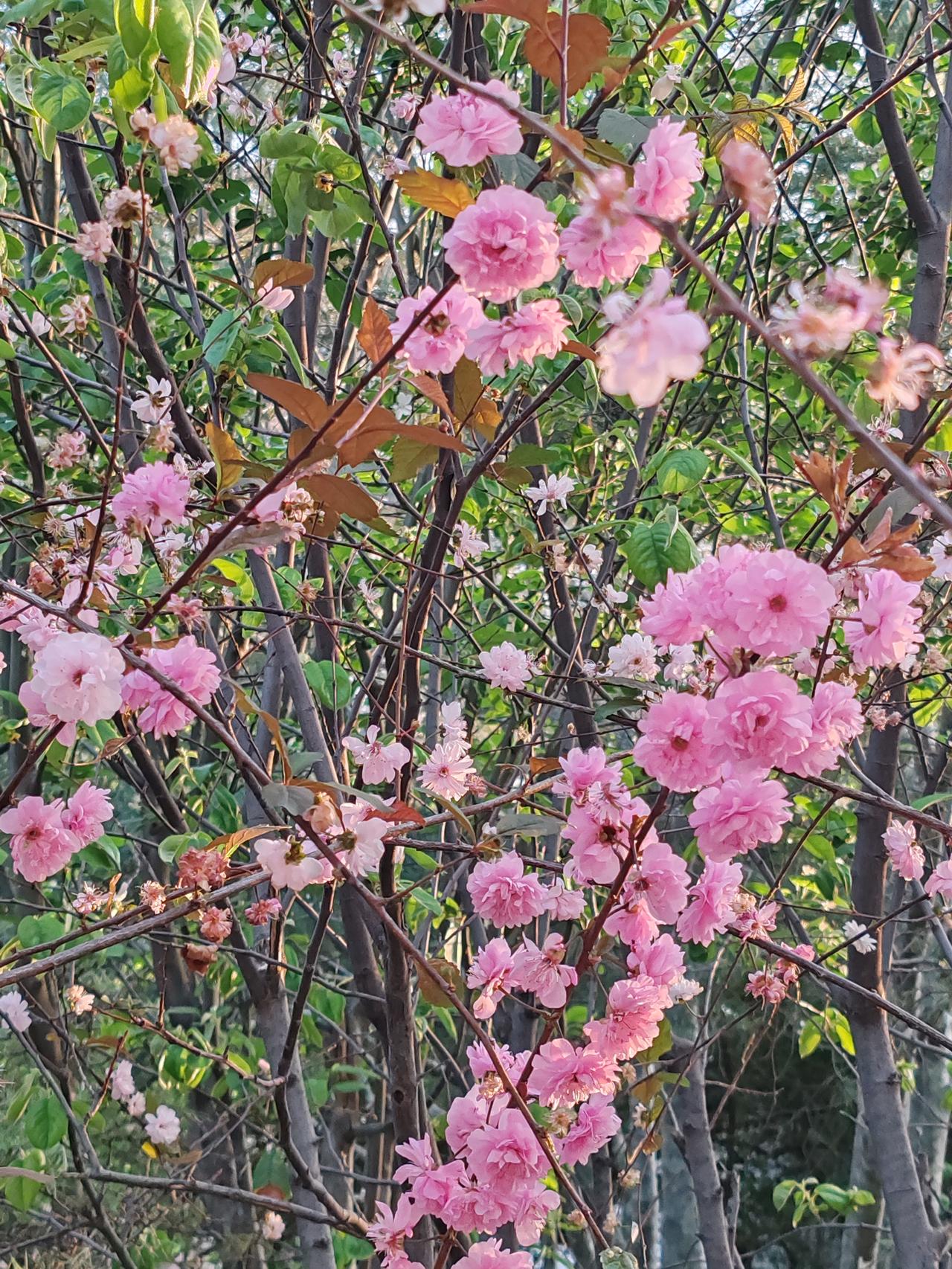 干得好是根本，关系好是门面。在职场里，凭借实力干得出色从而获得晋升的人，比靠关系
