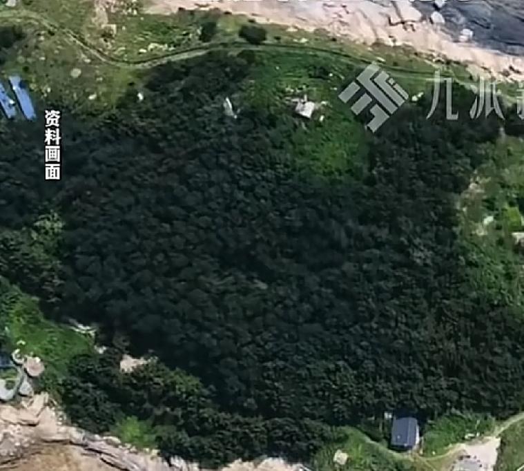 青岛的朋友终于坐不住了最近火遍了全国的荒野求生赛，相信大家都应该看过了，非常的