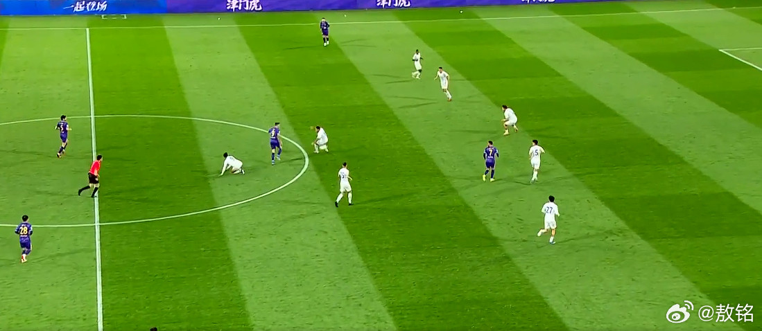 天津津门虎vs上海申花这场球给我印象最深刻的是，天津泰达足球场的草皮。这草皮质