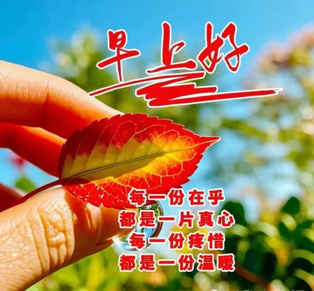 愿新的一天，阳光照亮你的前路，清风拂去所有疲惫，健康常伴左右，快乐萦绕心间，事事