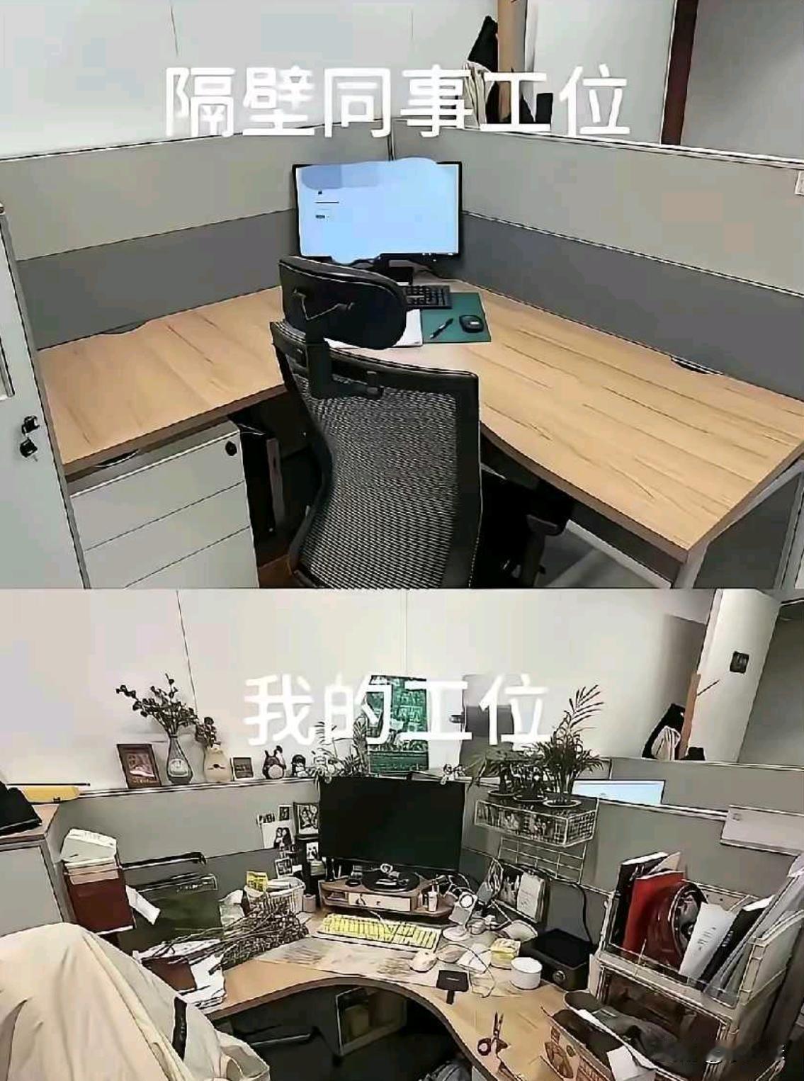看看哪一个才是老员工？
