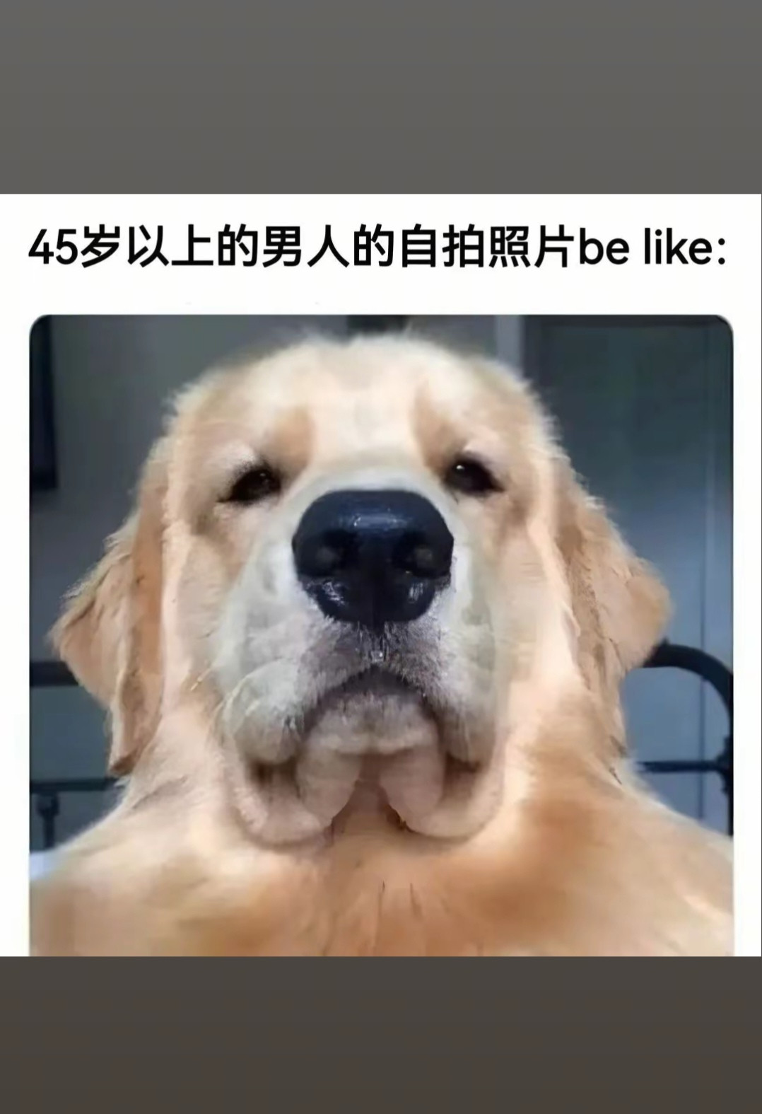 这是统一的动作吗