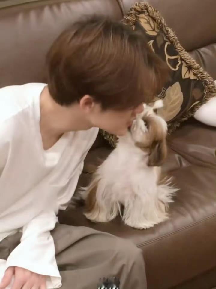 我真的要魂穿檀小呆了….他竟然会探头亲亲檀健次哎哎好想魂穿檀小呆