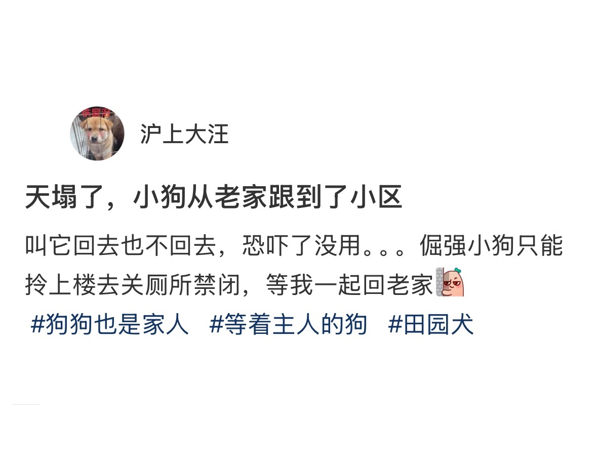 小狗从老家跟到了主人小区[扁嘴]​​​
