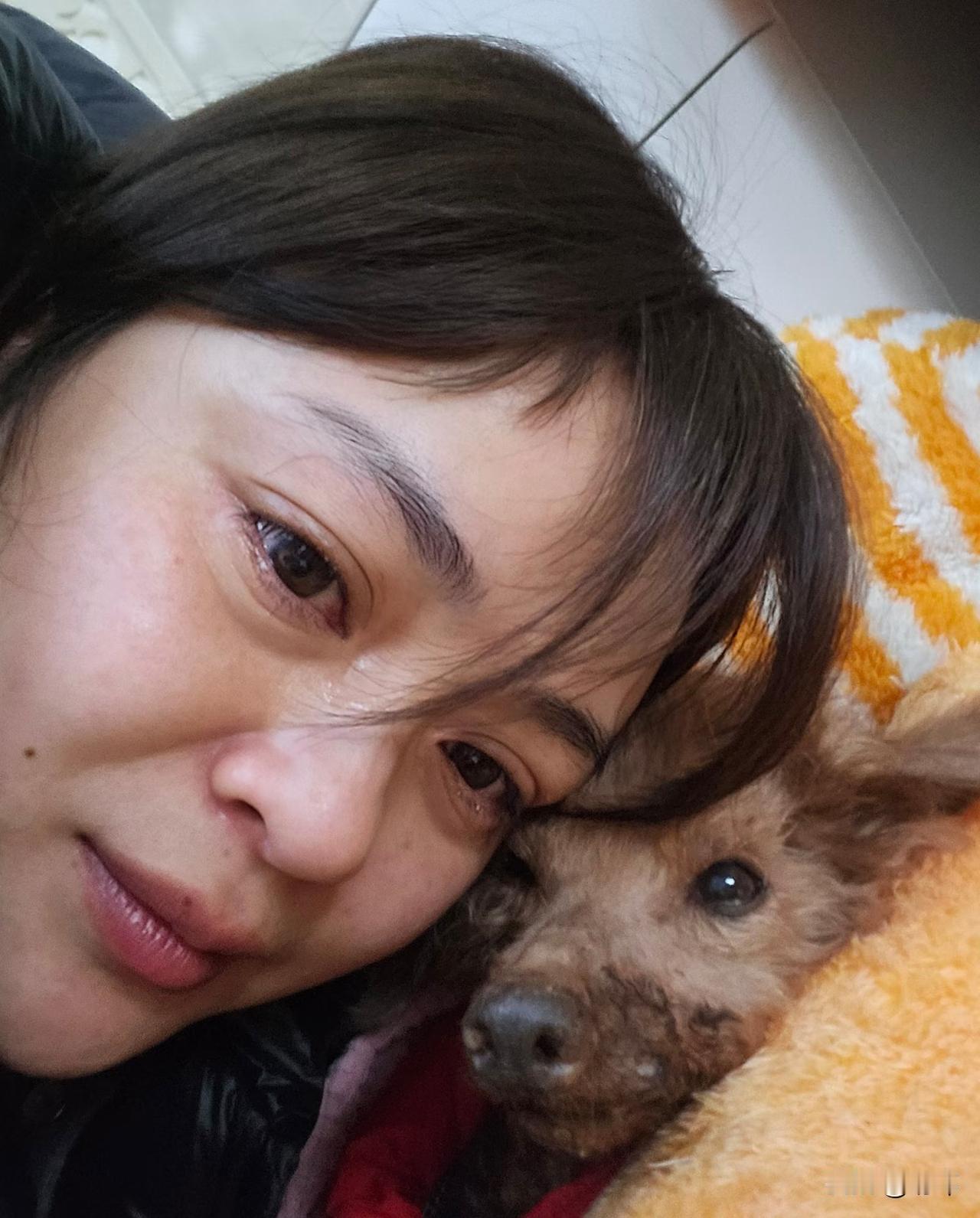 泪目了！一位小姐姐16年前收养了一只泰迪小奶狗，一直对它疼爱有加，悉心照料着，狗