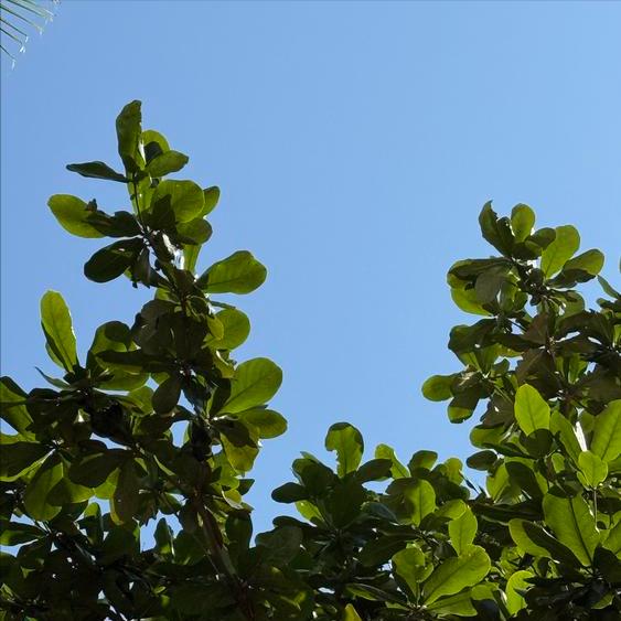 这则消息  关于廊坊人大原官员的 11月13日，一则关于廊坊人大原官员的消