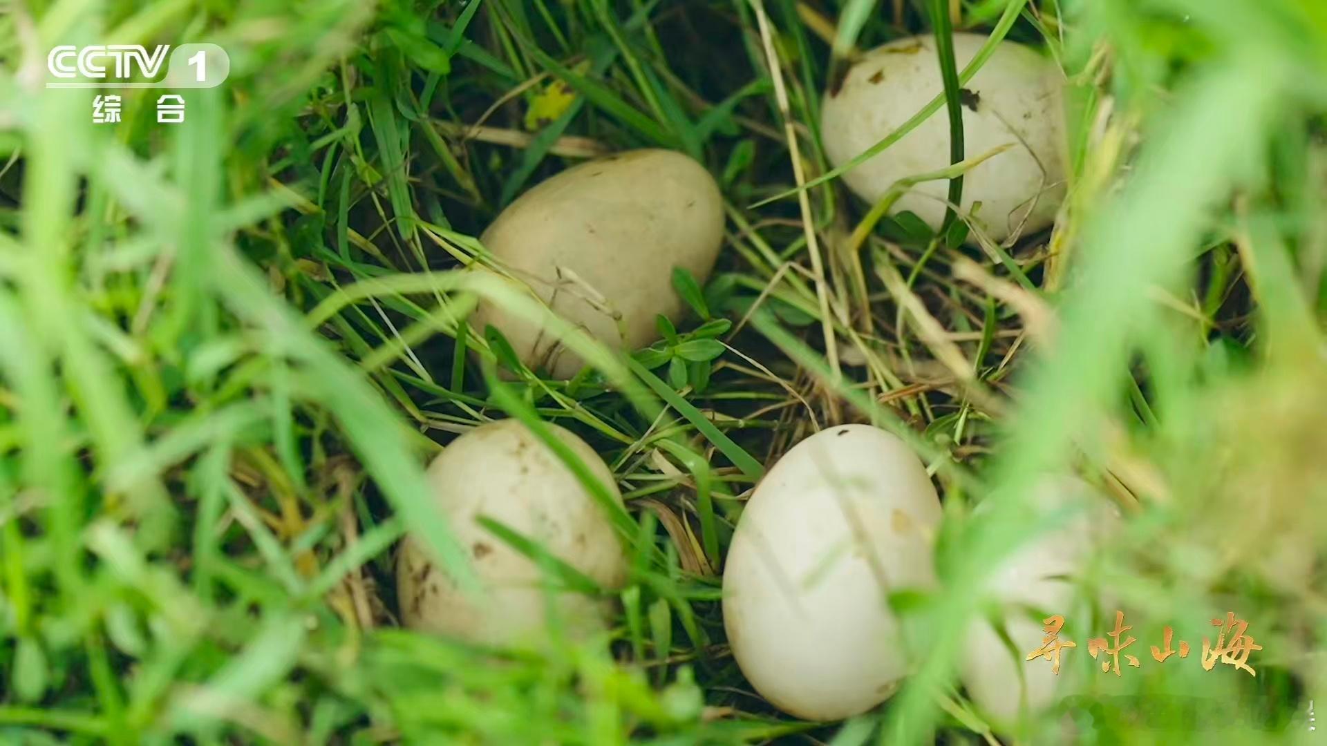 湖北有种会飞的牛肉湖北黄石仙岛湖太宝藏！不仅以1002座岛屿获“荆楚第一奇湖”