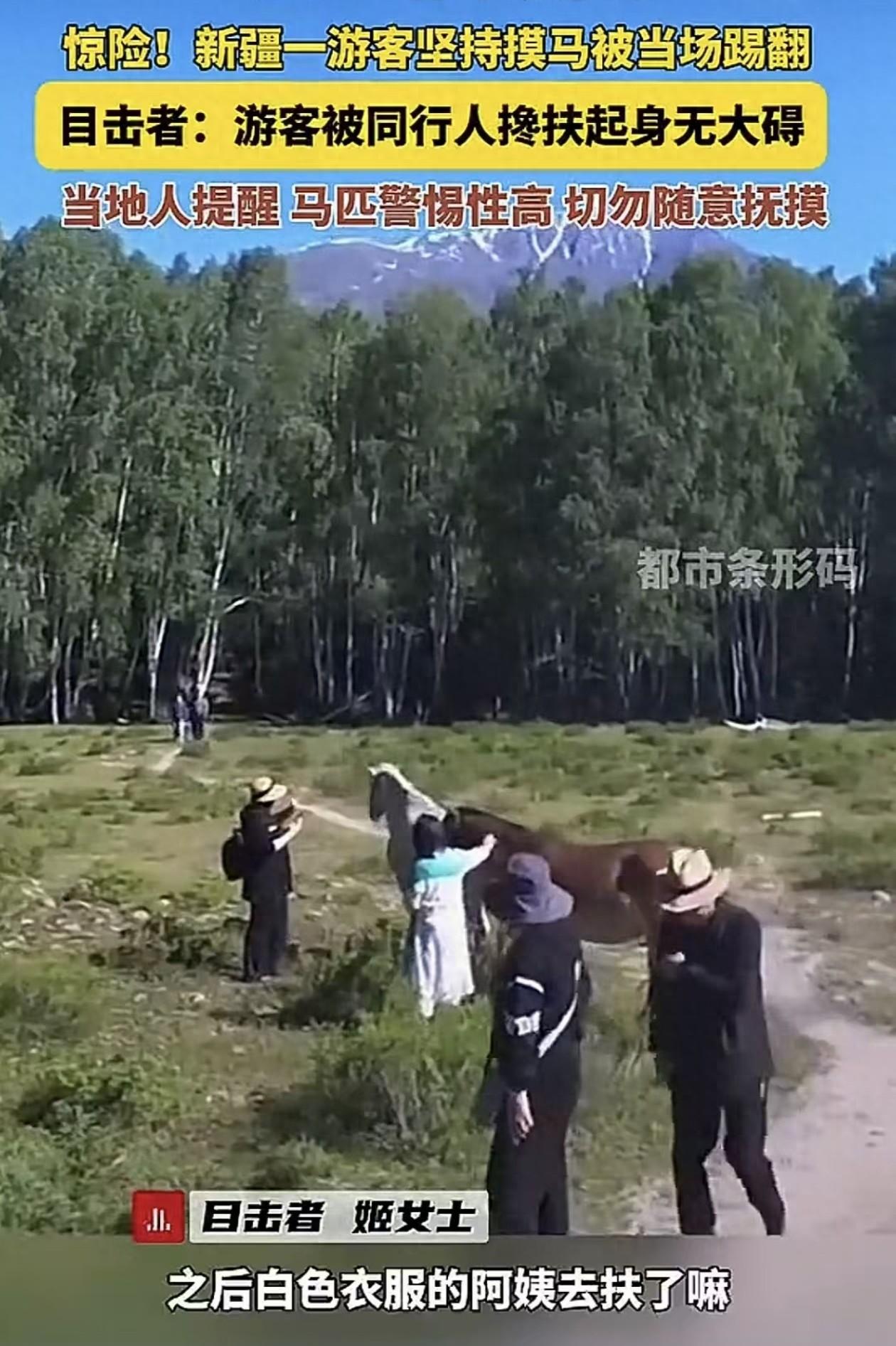 “好奇心害死猫！”新疆阿勒泰景区，一名来旅游的阿姨发现一匹被绑着腿的马，心生好奇