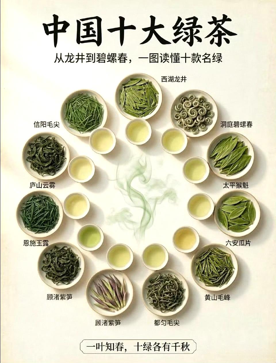 中国十大绿茶。