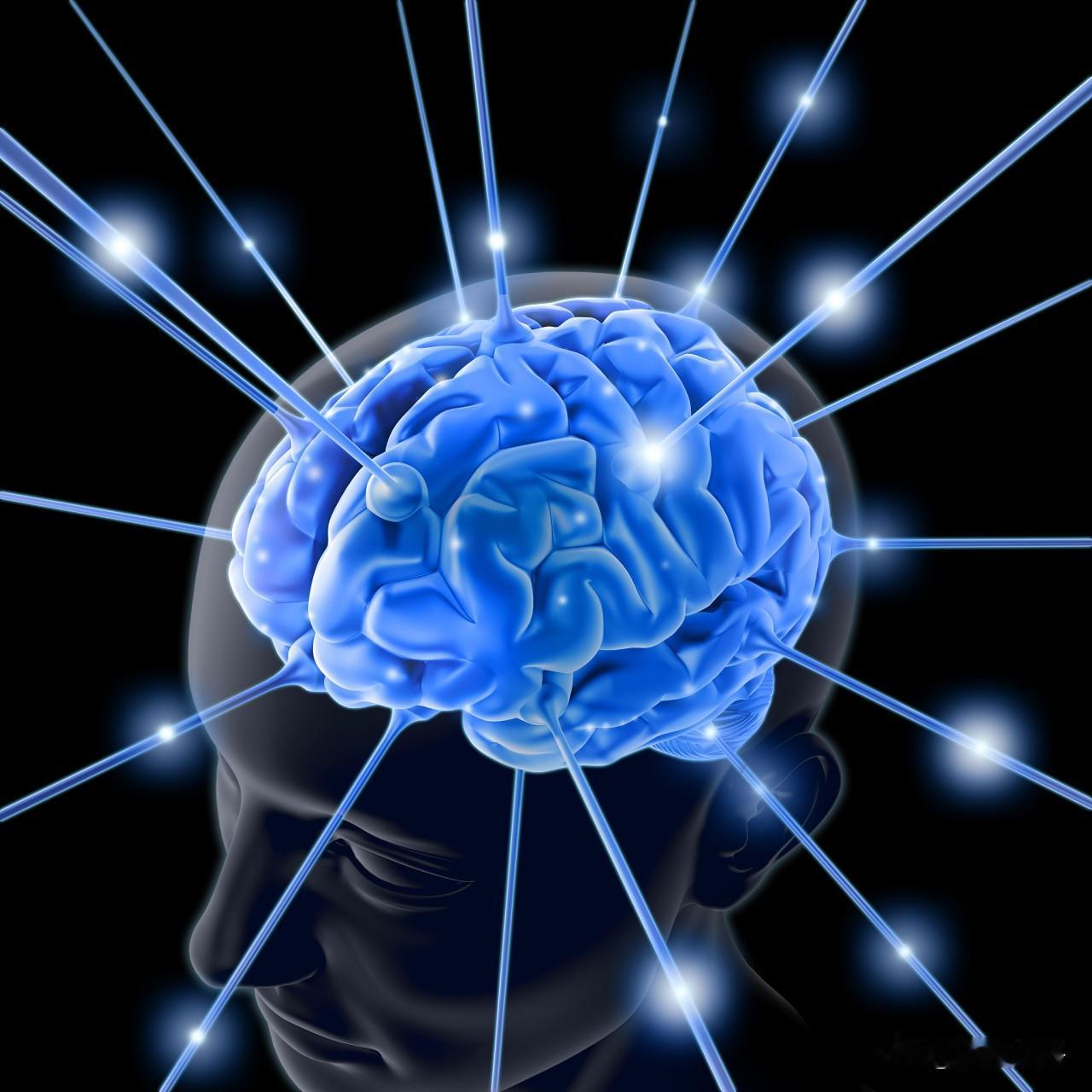 患精神病的人其实很可怜，倒不是因为世人的不理解与歧视，因为精神病人一直处于恐