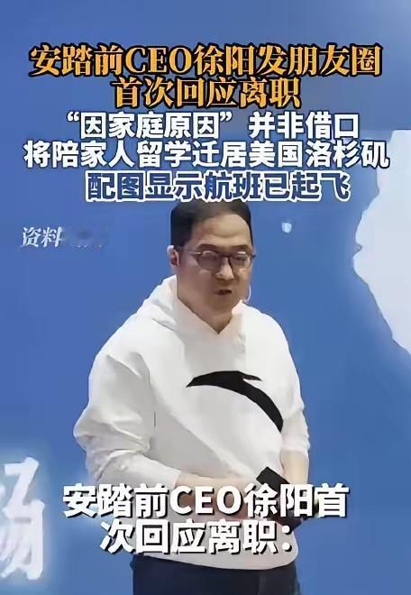徐阳这事，让我想起卢麒元那句话，真该收离境税了。安踏前CEO，7月15号刚辞的