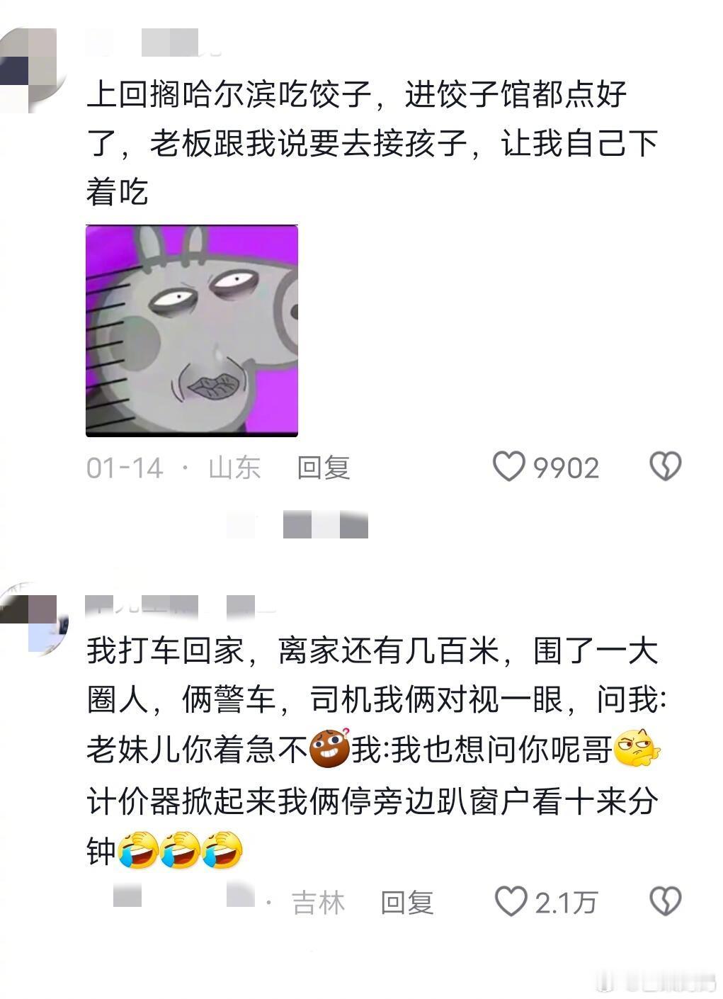 好欢乐的评论区，东北人的超绝松弛感[笑着哭]​​​