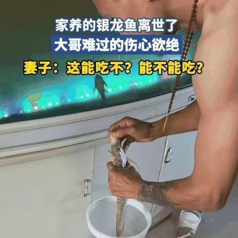 “笑不活了！”山东，一大哥养了3年多的银龙鱼死了，正在鱼缸前伤心难过的时候，妻子