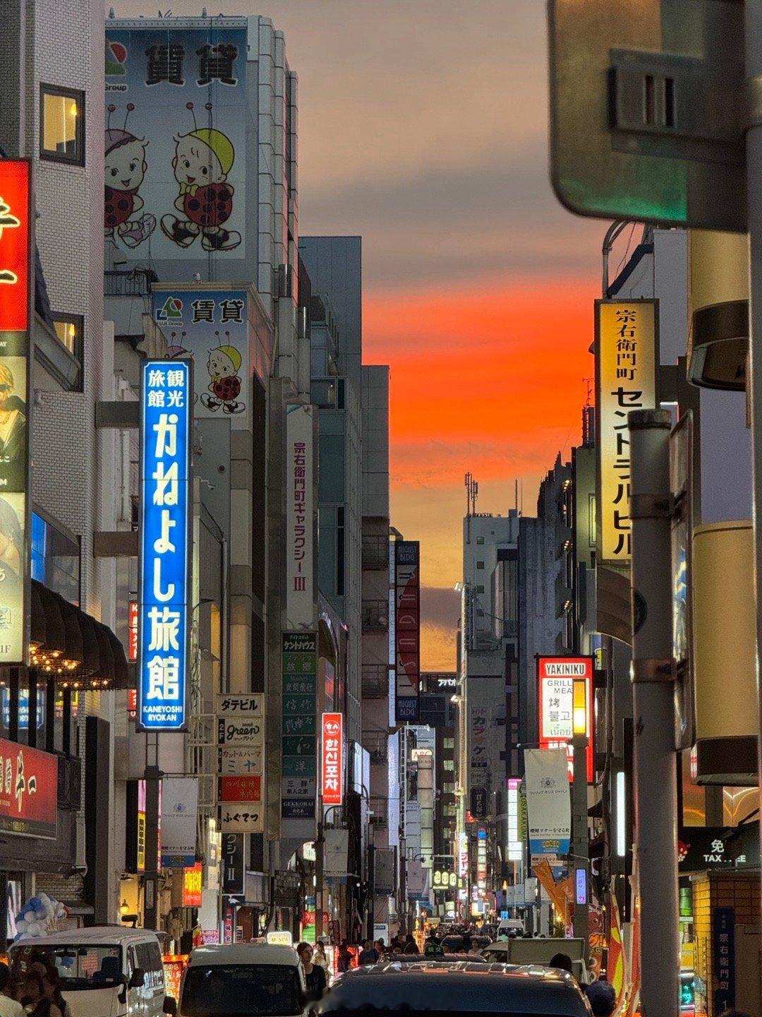Dayinosaka​​​