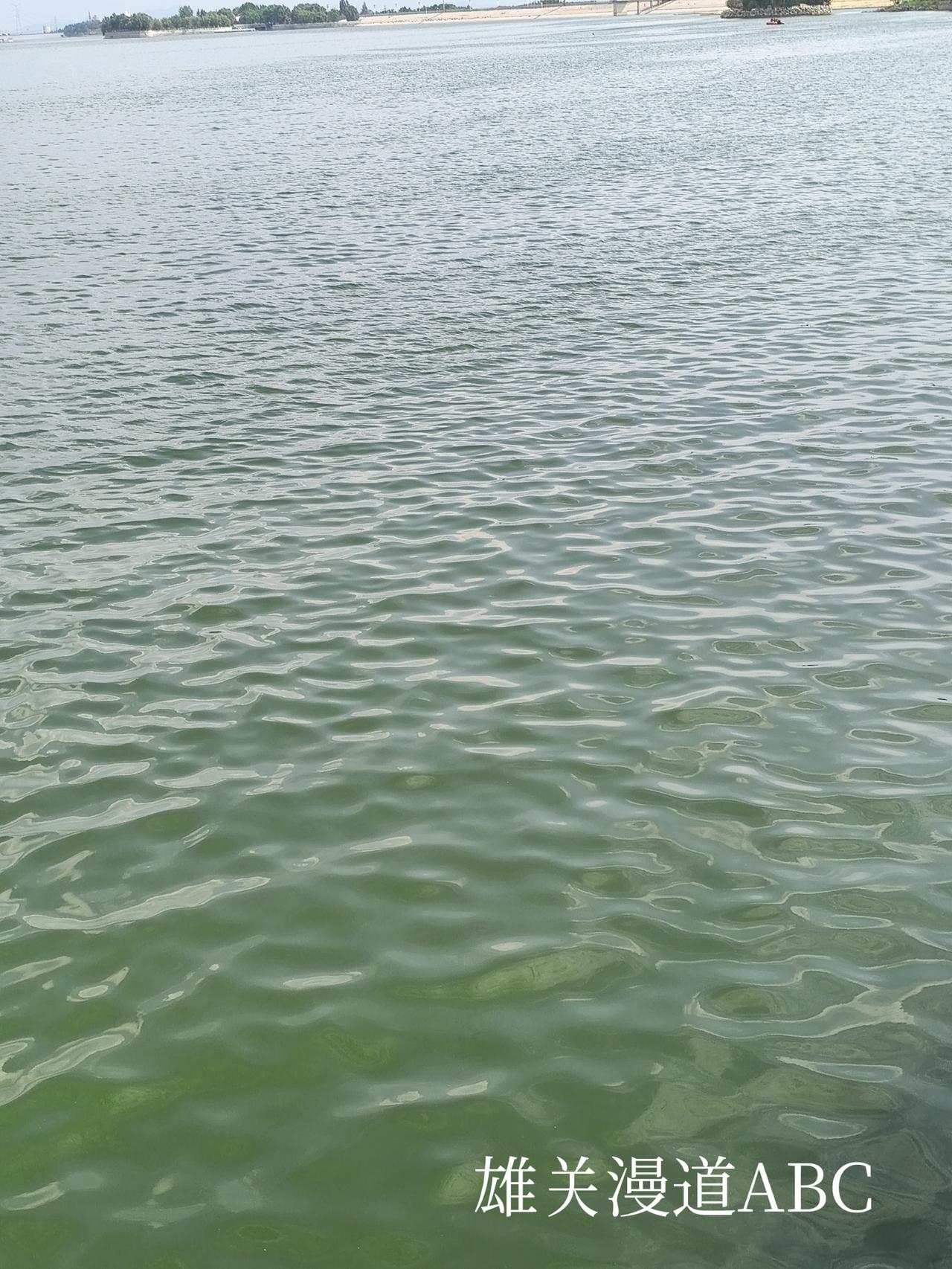 江涛随风起，湖水因雨生。拍摄于泰安天颐湖景区
